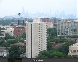 Island Terrace Apartments