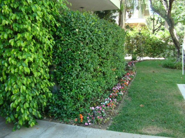 533 S Hudson Ave in Pasadena, CA - Building Photo - Building Photo