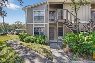 14319 Hanging Moss Cir in Tampa, FL - Building Photo