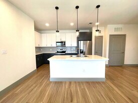 705 E Olympic Dr in Pflugerville, TX - Building Photo