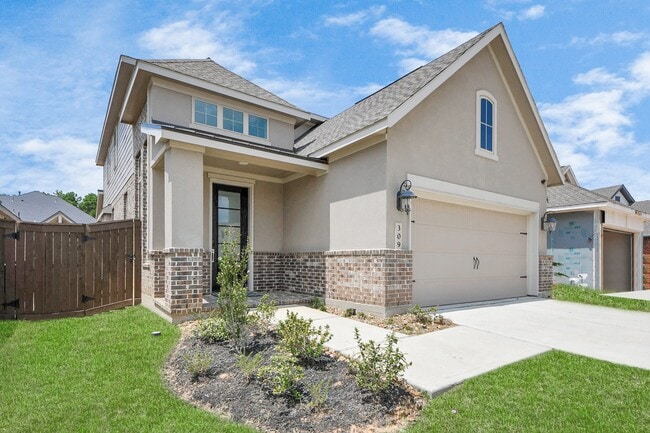 309 Violet Crown Ln in New Caney, TX - Foto de edificio - Building Photo