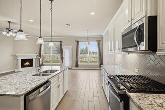 513 Mistflower Springs Dr in Leander, TX - Building Photo - Building Photo