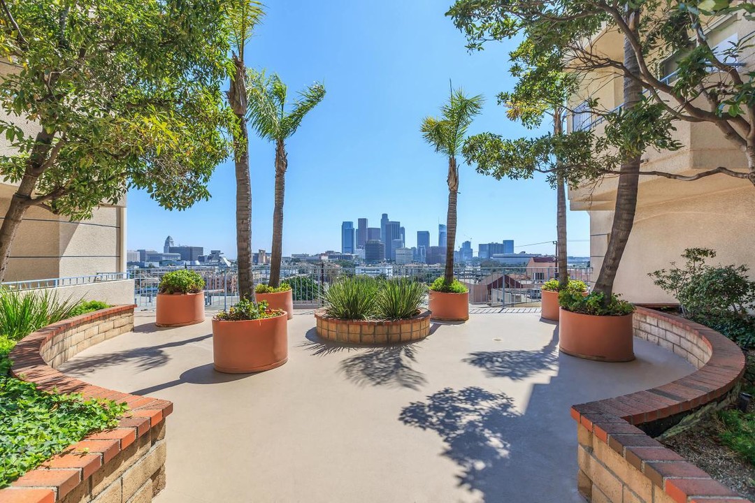 Skyline Terrace in Los Angeles, CA - Building Photo