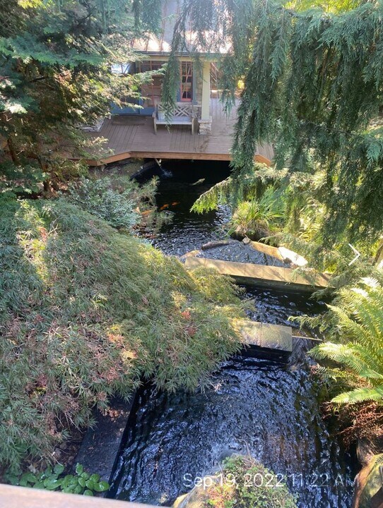 10809 SE 17th St in Bellevue, WA - Building Photo