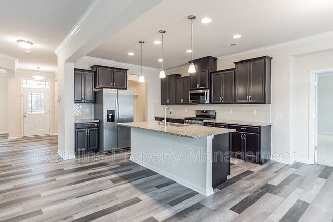 15226 Red Canoe Way in Charlotte, NC - Building Photo - Building Photo