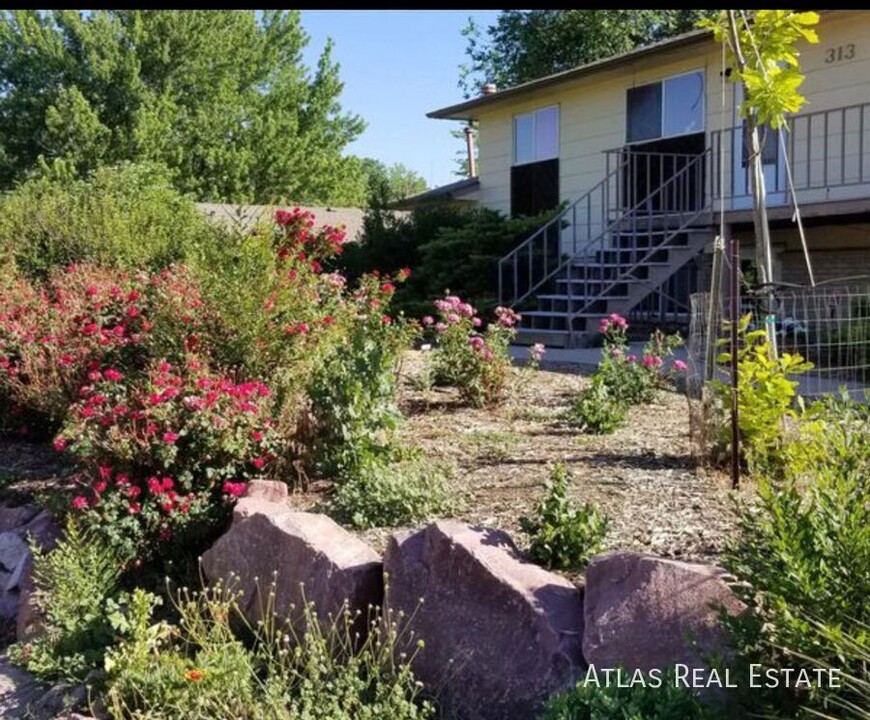 313 Bonnie Ct in Colorado Springs, CO - Building Photo