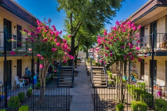 Belleview in Plano, TX - Foto de edificio - Building Photo
