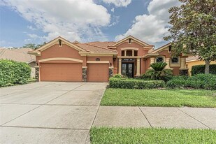 11639 Belle Haven Dr in New Port Richey, FL - Building Photo