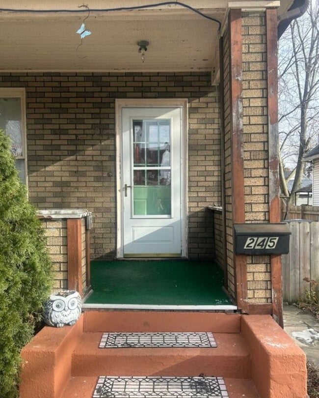 245 Plymouth St in Toledo, OH - Building Photo - Building Photo