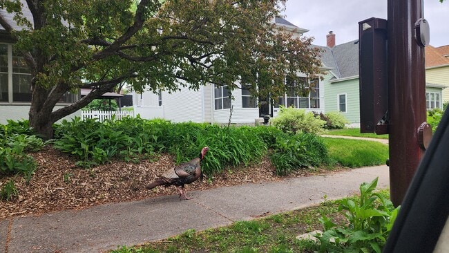 1901 -2301 Fillmore Street NE Minneapolis, MN 5541 in Minneapolis, MN - Building Photo - Building Photo