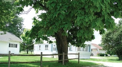 Allen Park Mobile Court in Curtice, OH - Building Photo - Building Photo