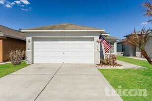 533 Scarlet Maple Ct in Plant City, FL - Building Photo