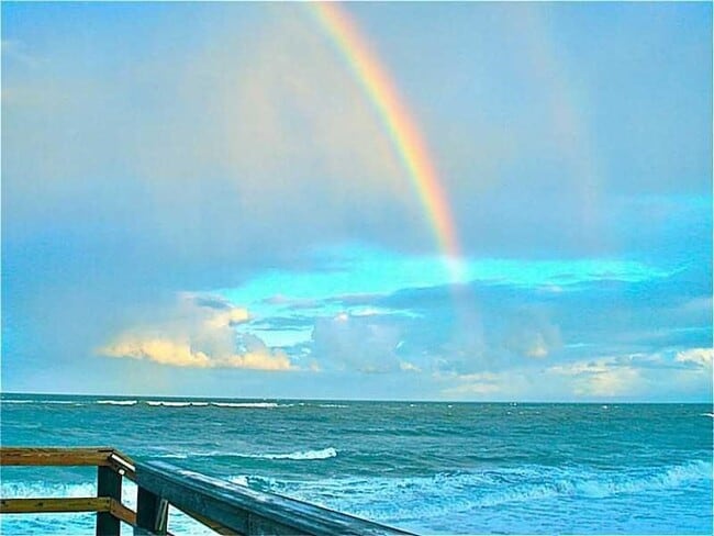 5400 Jimmy Buffett Mem Hwy, Unit 17 in Indian River Shores, FL - Building Photo - Building Photo