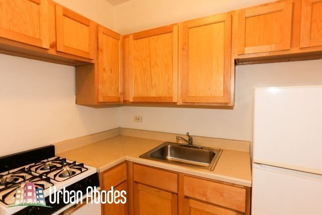 1160 N Dearborn St, Unit J04W in Chicago, IL - Building Photo - Building Photo