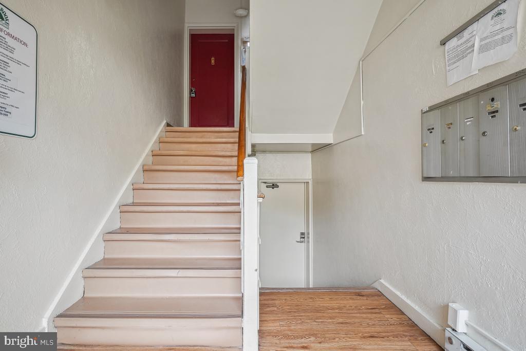 6188 Greenwood Dr-Unit -101 in Falls Church, VA - Building Photo