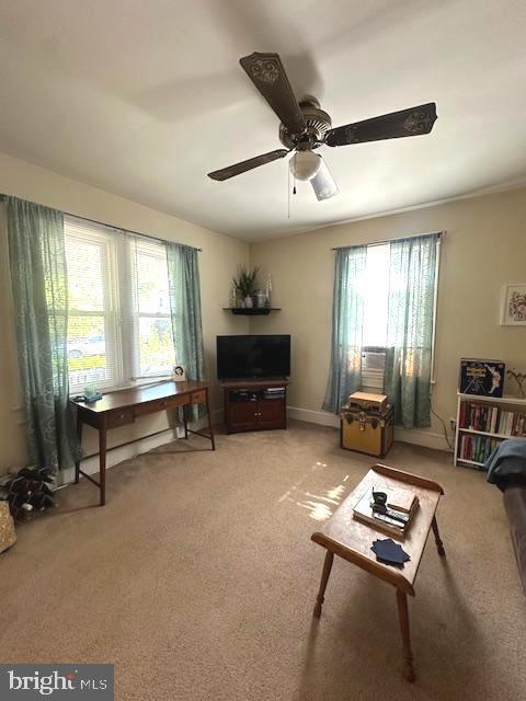 property at 803 Wolfe St