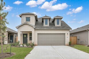 10917 Fly Catcher Dr in Willis, TX - Building Photo