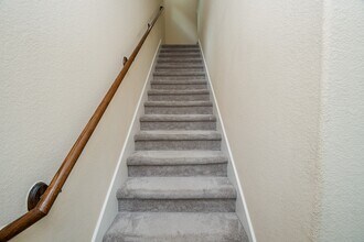 446 N Live Oak St in Houston, TX - Building Photo - Building Photo