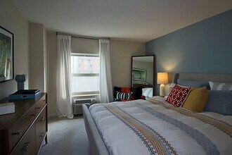 11 W Chestnut St in Chicago, IL - Building Photo - Building Photo