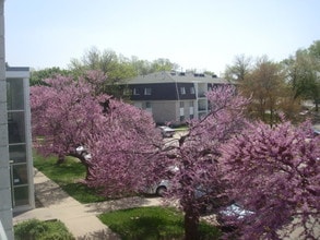 Fountain Apartments in Bellevue, NE - Building Photo - Building Photo