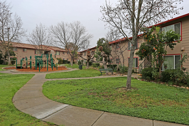 Foothill Plaza in Sacramento, CA - Building Photo - Building Photo