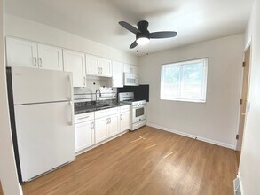 517 Prairie Ave in Downers Grove, IL - Building Photo - Building Photo