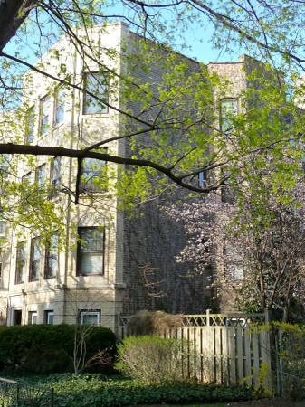 7549 N Oakley Ave in Chicago, IL - Foto de edificio - Building Photo