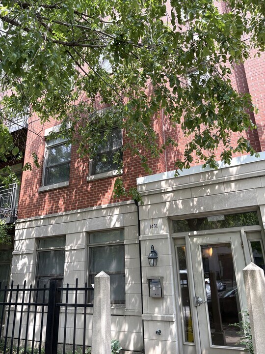1431 S Halsted St in Chicago, IL - Building Photo