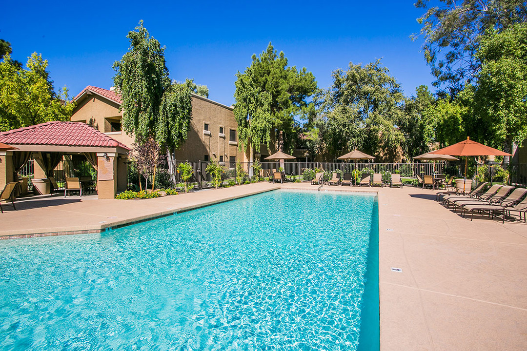 Towne Square Apartment Homes in Chandler, AZ - Building Photo