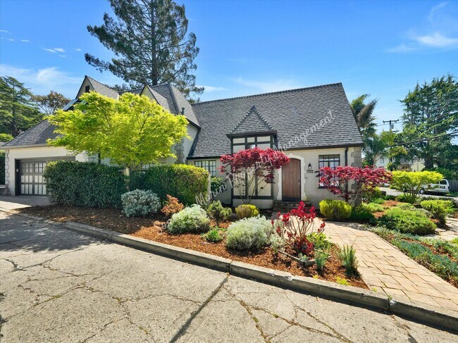 81 Elm Ave in Mill Valley, CA - Foto de edificio - Building Photo