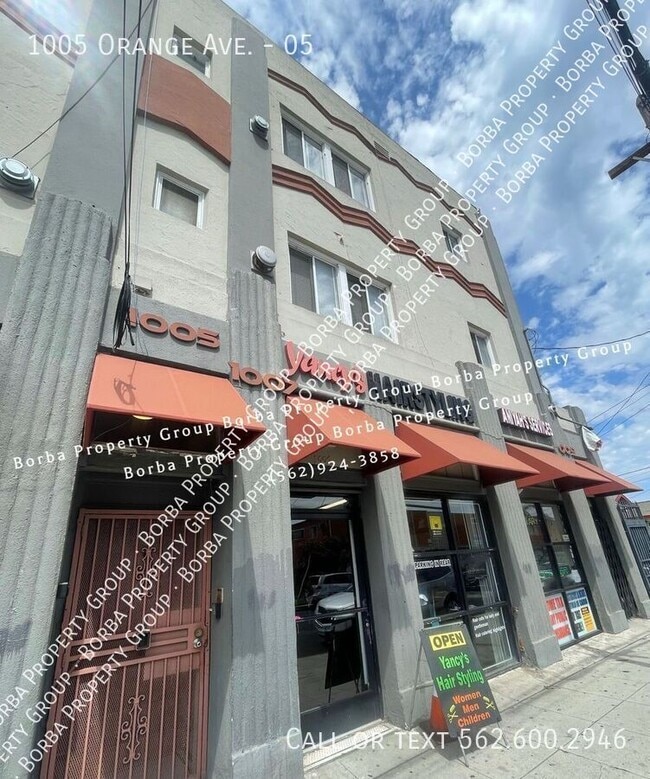 property at 1005 Orange Ave