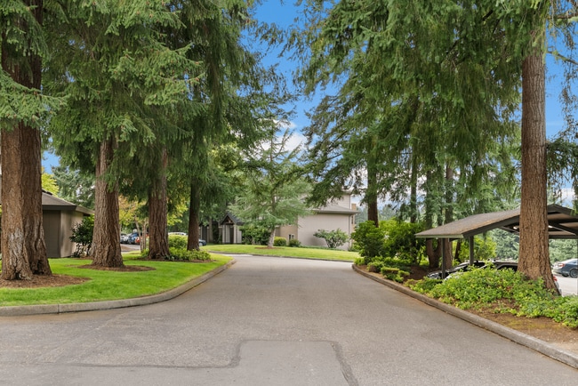 Willow Hill Apartments in Puyallup, WA - Building Photo - Building Photo