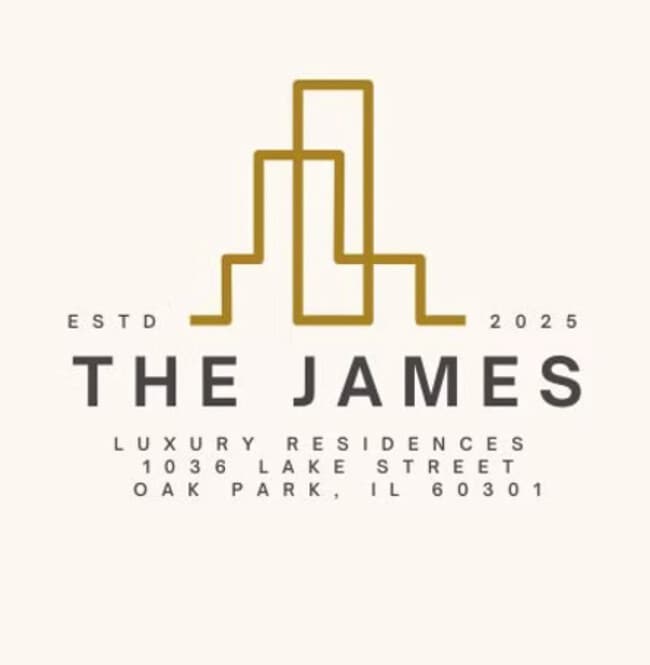 1036 Lake St in Oak Park, IL - Building Photo - Building Photo