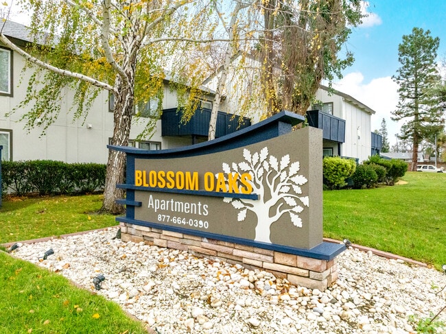 Blossom Oaks Apartments