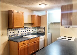 11719 Country Springs St in San Antonio, TX - Building Photo - Building Photo