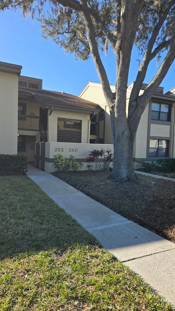 260 Woodlake Wynde in Oldsmar, FL - Building Photo - Building Photo