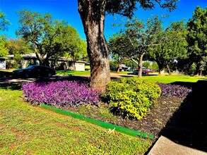 525 Lexington Ave in Abilene, TX - Building Photo - Building Photo