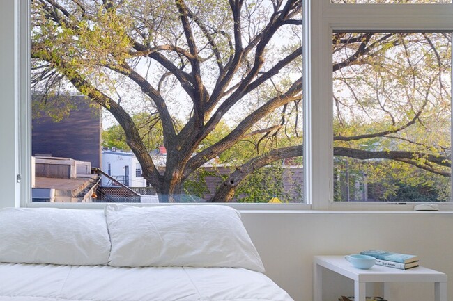 Spacious Bedroom + Private Bathroom // Sun... in Washington, DC - Foto de edificio - Building Photo