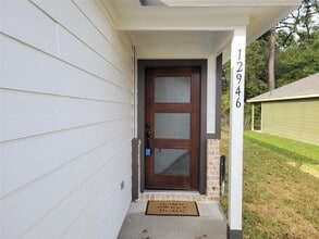 12946 Sorrento Bay Dr in Willis, TX - Building Photo - Building Photo