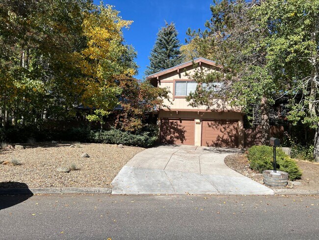 528 Tahoe Keys Blvd in South Lake Tahoe, CA - Building Photo - Building Photo
