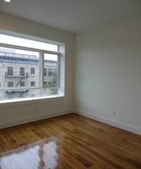 259 Albany in Brooklyn, NY - Building Photo - Building Photo