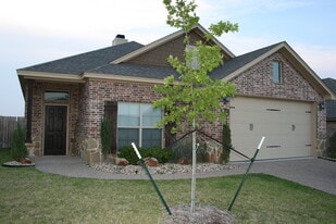 3025 Stallion Dr in Robinson, TX - Building Photo