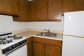 1167 N Dearborn St in Chicago, IL - Building Photo - Building Photo