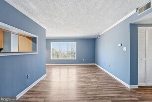 15536 Horseshoe Ln in Woodbridge, VA - Building Photo