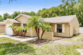 12342 Witheridge Dr in Tampa, FL - Building Photo - Building Photo