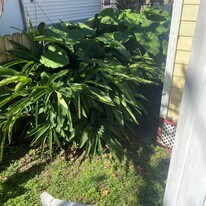 2211 Grover Ave in Galveston, TX - Building Photo