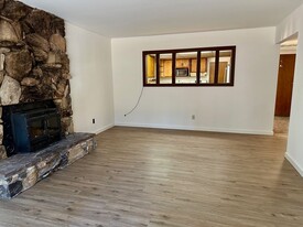 760 Patricia Ln in South Lake Tahoe, CA - Building Photo - Building Photo