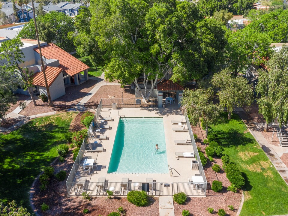 Avana Cordoba in Phoenix, AZ - Foto de edificio