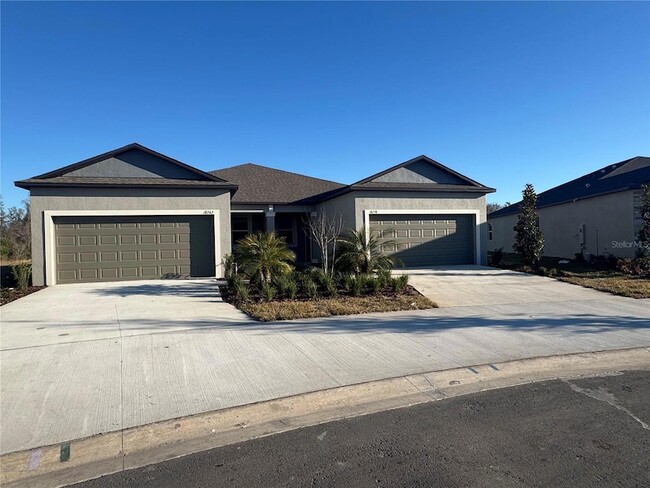 18238 Pleasentville Blvd in Land O Lakes, FL - Foto de edificio - Building Photo