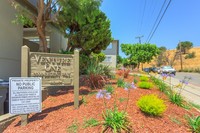 The Regent in Castro Valley, CA - Building Photo - Building Photo